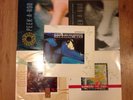 Siouxsie & The Banshees –12