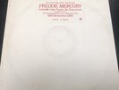 Freddie Mercury Love Me Like There's No Tomorrow 12