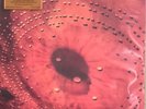 CATHERINE WHEEL FERMENT LP COLORED VINYL 1500 ONLY