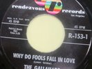 THE GALLAHADS Why Do Fools Fall In Love 45 RENDEZVOUS 153 DOO-WOP EX MINT- 1961
