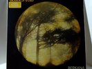 GOLDEN VOID Berkana COLOR VINYL LP Sealed LIMITED EDITION Thrill Jockey