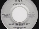 JAMES MEADOWS What You Gonna Do RARE gospel boogie 45 deep soul modern soul HEAR