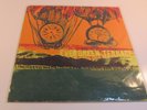 Evergreen Terrace - Burned Alive By Time CLEAR ORANGE RED SMOKE LP 12” Vinyl