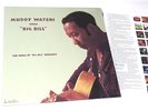 MUDDY WATERS 180g Audiophile Speakers Corner Rec LP SINGS BIG BILL Top Blues M-