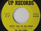 Northern Soul 45 DEL-CORDS Won't You Let Me Know UP 2101 VG+
