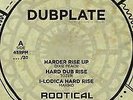 Dixie Peach, Tozer, Makiko, Iyah Ranks ?– Rise Up (Dubplate)