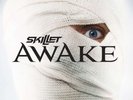 Skillet SEALED Awake LP OOP Vinyl Christian Rock