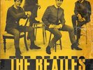 THE BEATLES 45 SHE LOVES YOU+PS DENMARK RARE RED LABEL