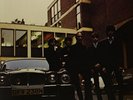 Flamin' Groovies-Shake Some Action  Vinyl / 12