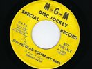 Johnny Nash 