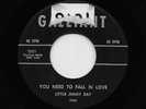 Little Jimmy Ray, James Ray - You Need To Fall In Love / Make Her Mine (Soul)