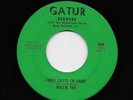 Willie Tee - First Taste Of Hurt / Funky Funky Twist (Soul, 45)