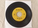 RARE MINT The Little Bits 45 - Girl Give Me Love & Spoofin   60's Garage Band