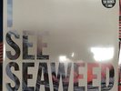 The Drones – I See Seaweed 2LP Set