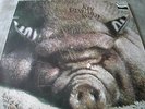 Kin Ping Meh LP, No. 2, orig. Zebra 1972, D, Super seltener Krautrock, Inlett