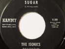 THE ISONICS 