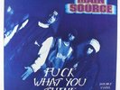 Main Source - Fuck What You Think 2xLP - Wild Pitch NM