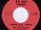 Doo Wop R&B 45 SAMMY & DEL-LARKS I Never Will Forget EA-JAY HEAR