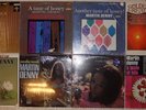 Martin Denny, 8 Vinyl Record Lot, All LP’s, All US 1st, 1 Mint Sealed, 2 Mono