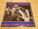 YOUTH OF TODAY-BREAK DOWN THE WALLS/FIRST PRESS LP/Wishingwell WW4/PUNK HARDCORE