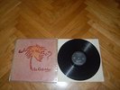 THE  CABILDOS  -  WHERE  IS  THE  CAT?