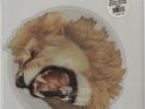 White Lion Radar Love shaped picture disc vinyl record UK A8836TEP ATLANTIC