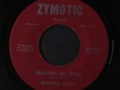 WINFIELD SCOTT: Shaking All Over / Don't Let The Sun Catch You Crying 45 (kille