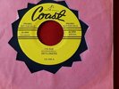 SKYLINERS  SINCE I FELL FOR YOU  I'D DIE BLUE  WAX   NEAR MINT  DOO WOP 45