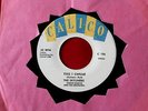 SKYLINERS  THIS I SWEAR  VG++ TOMORROW  CALICO   DOO WOP 45