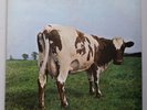 Pink Floyd - Atom Heart Mother Vinyl LP UK 1982 Press EX+