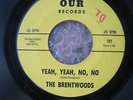 THE BRENTWOODS-Rare 60sTeen Garage Promo-7