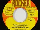 Gibson Brothers Band 