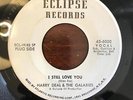 Northern Soul 45 Harry Deal & The Galaxies-I Still Love You HEAR IT