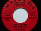 The DEE CALS 45 Stars in the Blue / Wonderful Day MAYHAMS doowop Pj426