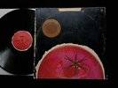 WOMB LP 1969  Acid Psych Hippie  1st Pressing   DOT DLP 25933