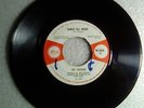 ISLAND UK ROCKSTEADY 45/ THE TARTANS - DANCE ALL NIGHT/ WHAT CAN I DO/ HEAR