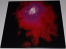 PORCUPINE TREE - UP THE DOWNSTAIR - PURPLE VINYL 1000 ONLY - N MINT CONDITION