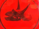 Alice in Chains - The Devil Put Dinosaurs Here(180g LTD. Picture Disc 2LP),2013