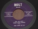 Lykes of Us 45 RARE Tell Me Why Your Light Shines MI garage psych 7