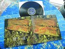 ACDC TNT  AUSTRALIA ALBERT RECORD #4
