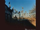The Cinematic Orchestra-Ma Fleur  (US IMPORT)  VINYL LP NEW