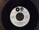 northern soul MARVIN GAYE You're A Wonderful One TAMLA 54169 DJ M-