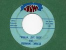 rare Northern Soul THE STEMMONS EXPRESS 