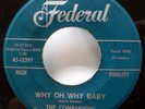 the COMPANIONS 45 I Didn't Know / Why Oh Why Baby FEDERAL doowop VG++   Pj481