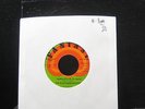 The Blue Ridge Rangers - Jambalaya 7