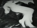 THE SLEEPERS Painless Nights (LP) (1981 SF punk album) (Crime / Tuxedomoon)