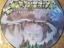 METALLICA CREEPING DEATH 12'''VINYL PICTURE DISC