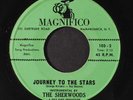 SHERWOODS: Monkey See, Monkey Do / Journey To The Stars 45 (close to M-) Soul