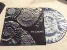 THE SUNDAYS Reading Writing & Arithmetic UK PICTURE DISC LP 1990 ROUGH TRADE NM