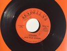 Little Willie Johnson 